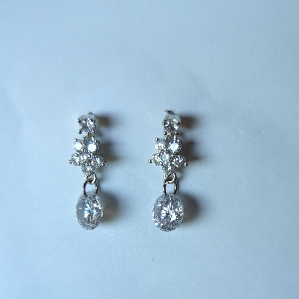 Elegant Silver Drop Earrings
